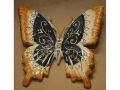 FARFALLA MOD.2-I MISURA